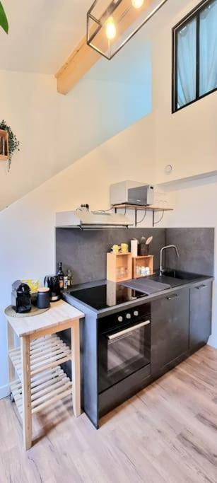 Le Duplex Catherine - Metro - Gare - Wifi Toulouse Eksteriør bilde