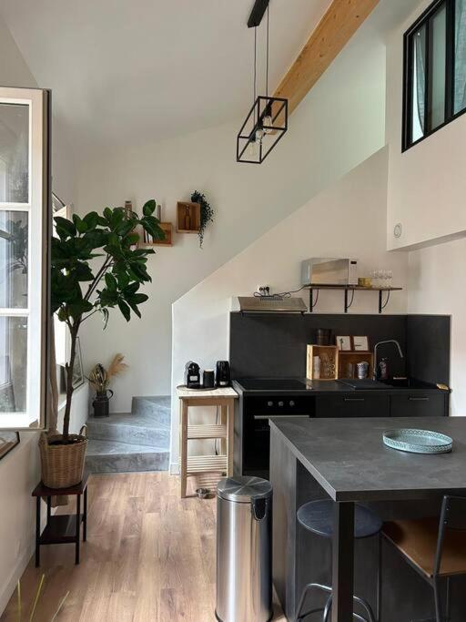 Le Duplex Catherine - Metro - Gare - Wifi Toulouse Eksteriør bilde