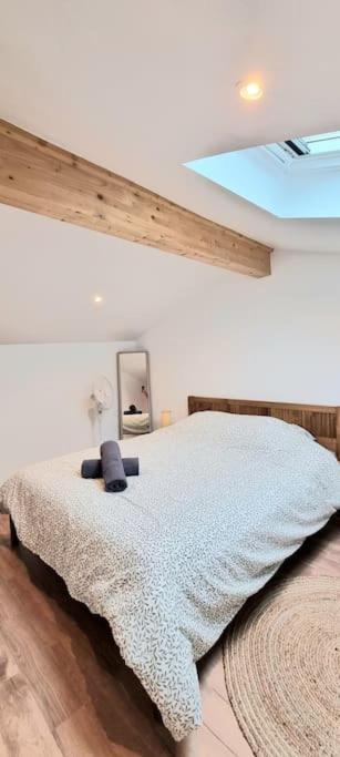 Le Duplex Catherine - Metro - Gare - Wifi Toulouse Eksteriør bilde