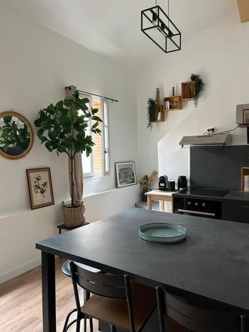 Le Duplex Catherine - Metro - Gare - Wifi Toulouse Eksteriør bilde